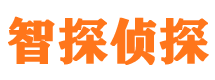 安化市侦探调查公司